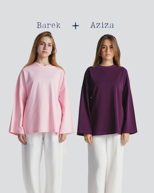 BAREK meets AZIZA.